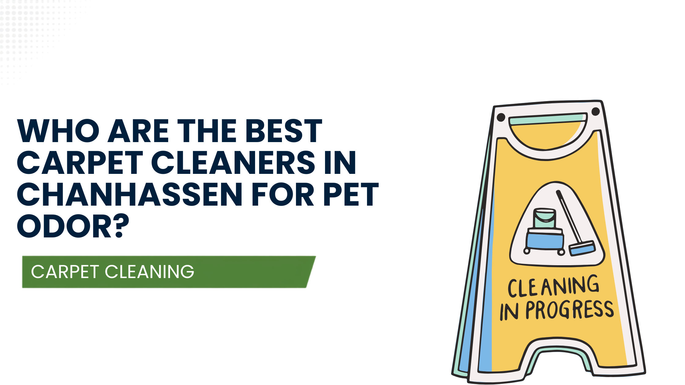 carpet cleaners in Chanhasse